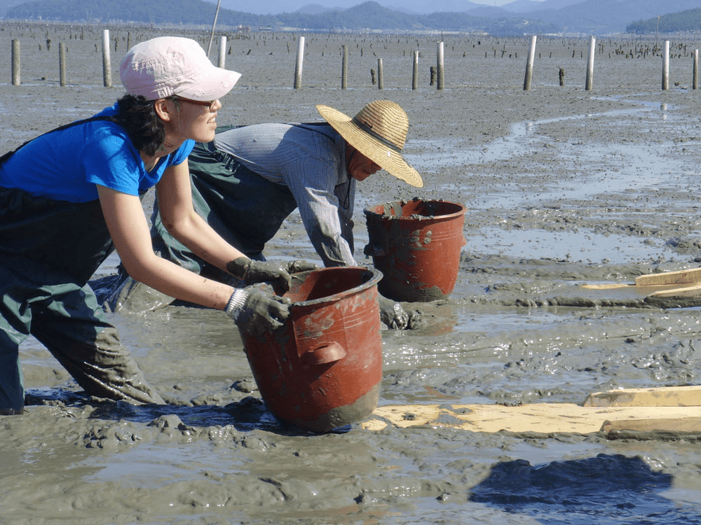 고흥 선정은하수&꼬막마을 살아보기 1기 (농촌살아보기)