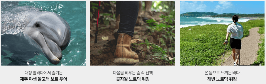 (선착순-2차) 제주 스페이스모노 워케이션 4박 5일 바우처 제공