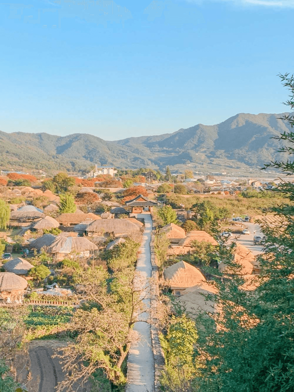 일상의 작은 자극, 순천 한달살기 in 장천