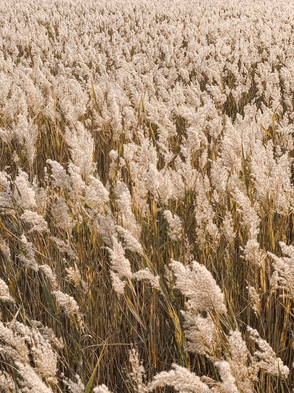 일상의 작은 자극, 순천 한달살기 in 장천
