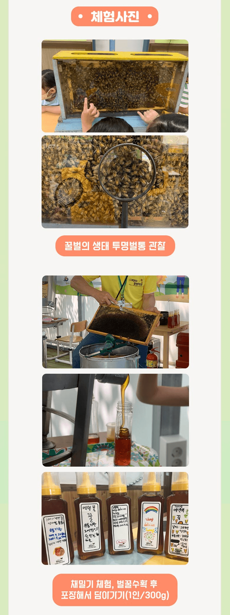 떠나고 싶소! 횡성 농촌체험 5~6월 당일여행