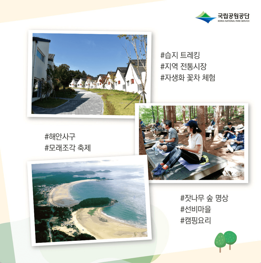 (선착순) 국립공원 일주일~2주 머무름여행 2차 모집 - 영주, 태안, 정읍