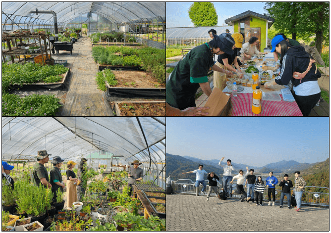 청년캠프 'Stay in 진안' 3주 탐방하기