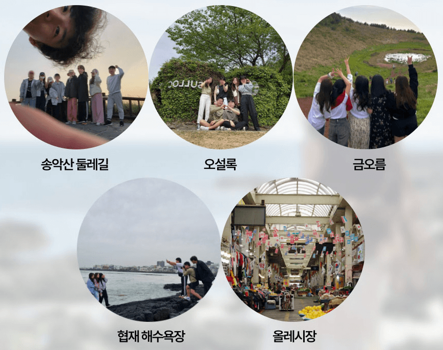 (선착순) 제주워홀로 즐기는 로컬생활 2기 모집