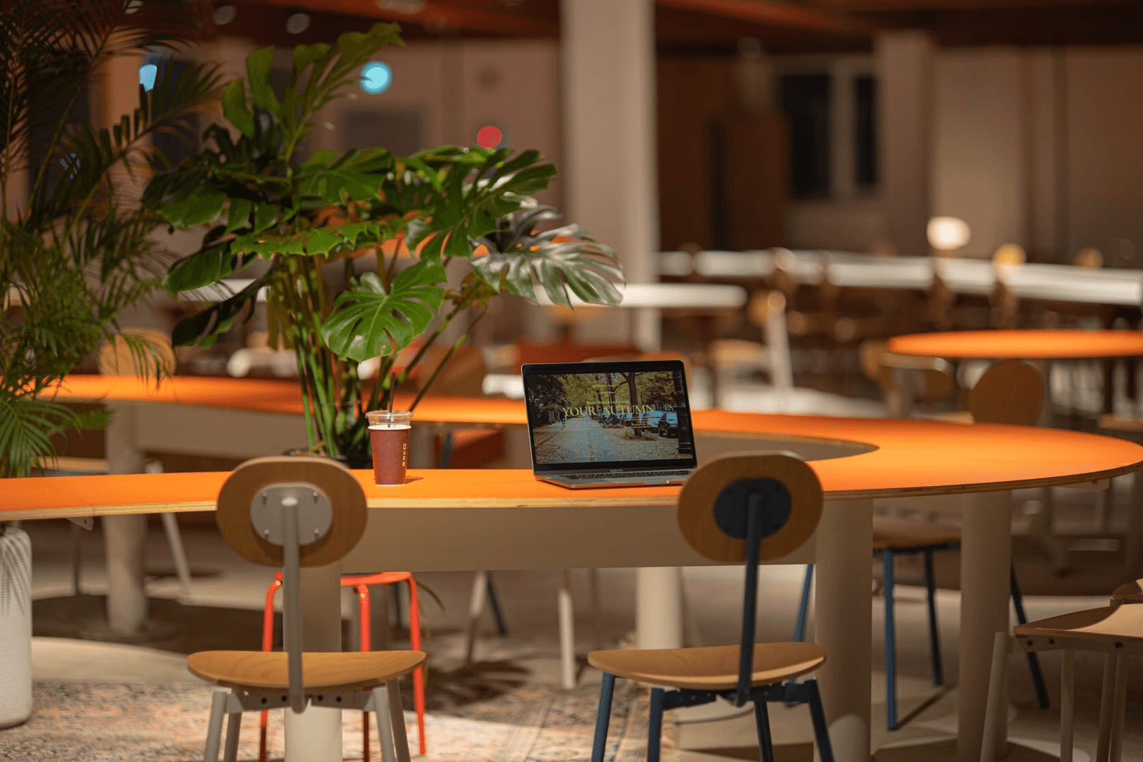 카누 사원증 만들고 워케이션 카페 무료입장 (서울 서교, 경남 통영)