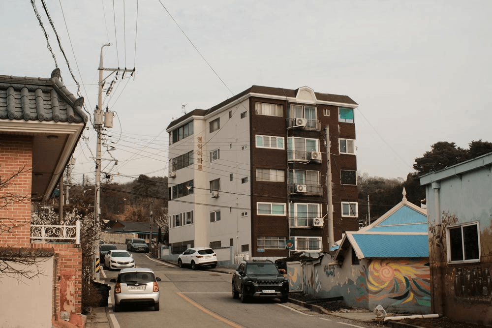 사진을 좋아한다면, 아산 도고담다 5기 <여름 별과 숲>