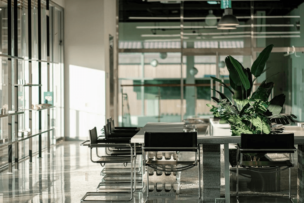 사진을 좋아한다면, 아산 도고담다 5기 <여름 별과 숲>