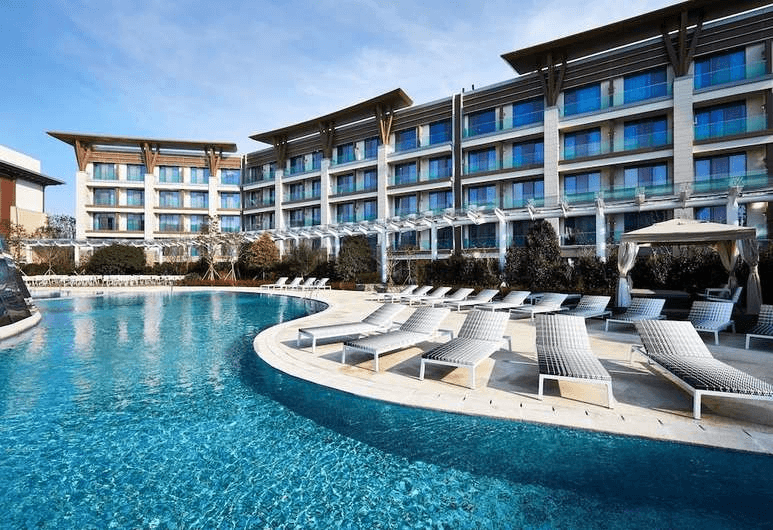 신화로운 여행생활 : 제주신화월드에서 콘텐츠 작업하며 일주일살기