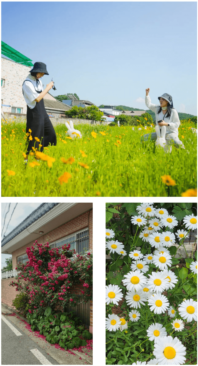 (조기모집종료되었습니다.) 도고 취향살이 2박 3일 편지편 <나에게 쓰는 편지>