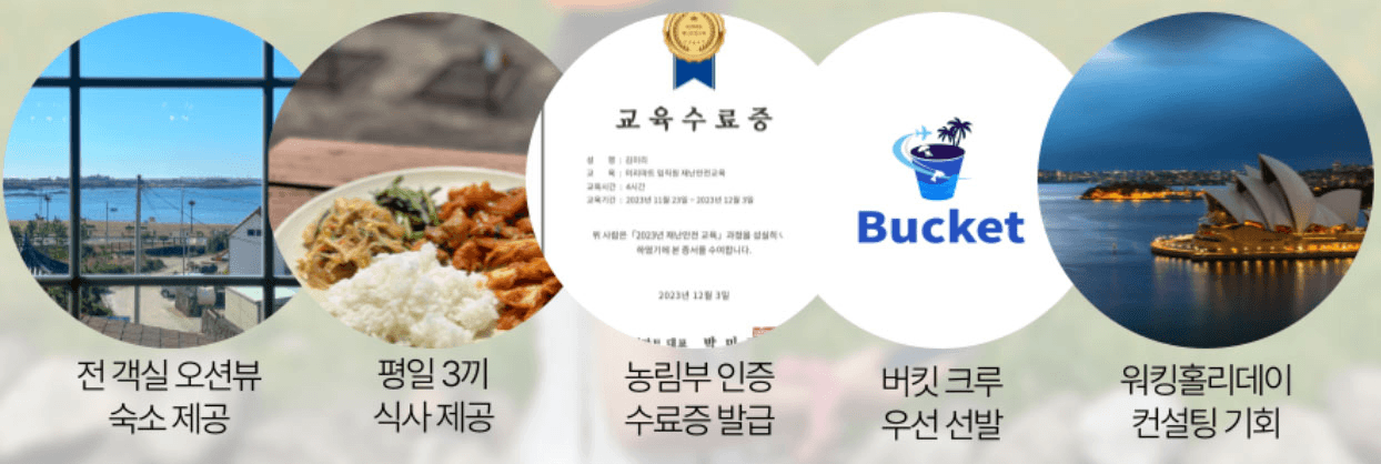 (선착순 - 조기모집종료되었습니다.) 제주워홀로 즐기는 로컬생활 3기 모집