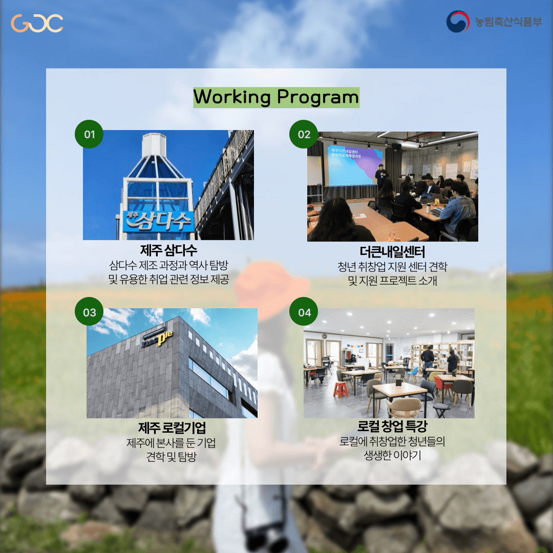 (선착순 - 조기모집종료되었습니다.) 제주워홀로 즐기는 로컬생활 3기 모집