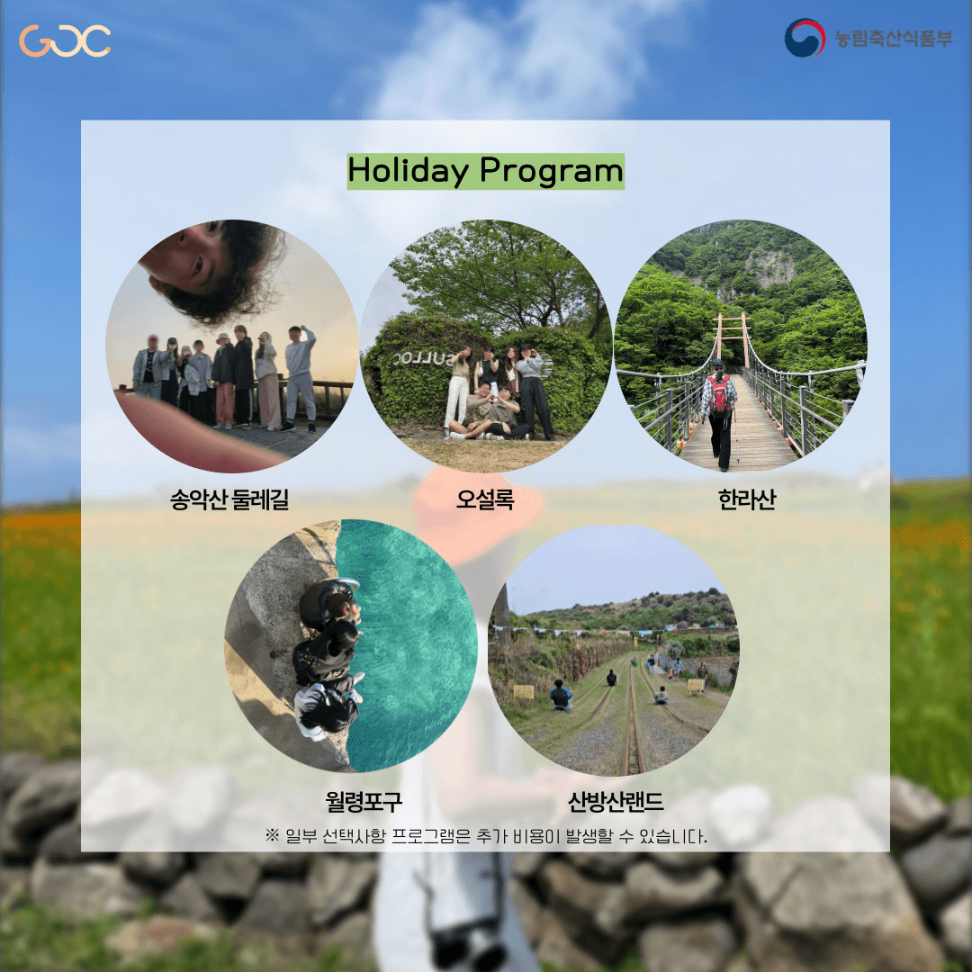 (선착순 - 조기모집종료되었습니다.) 제주워홀로 즐기는 로컬생활 3기 모집