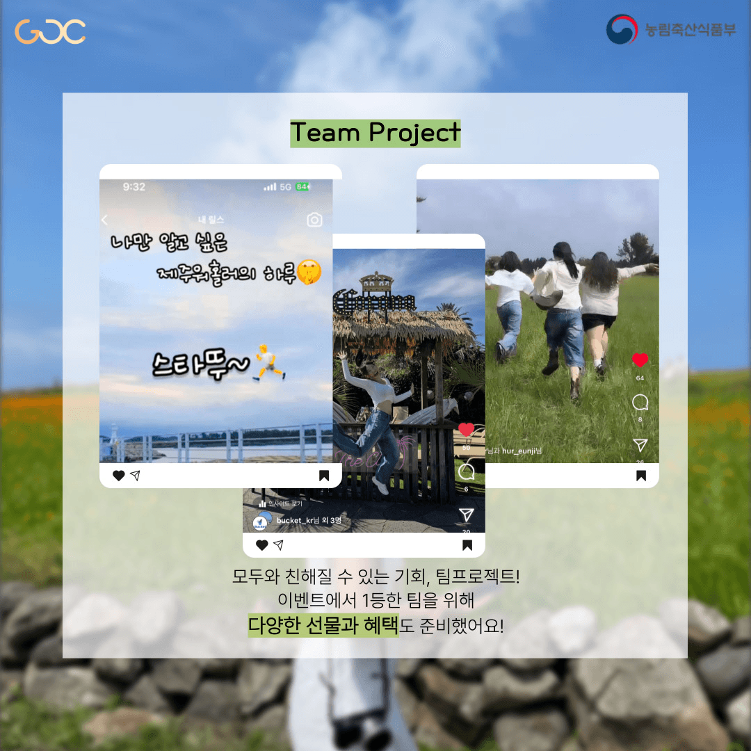 (선착순 - 조기모집종료되었습니다.) 제주워홀로 즐기는 로컬생활 3기 모집