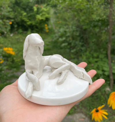 강원도 횡성 일주일살기 (홍보단으로 6박7일 살아보기)