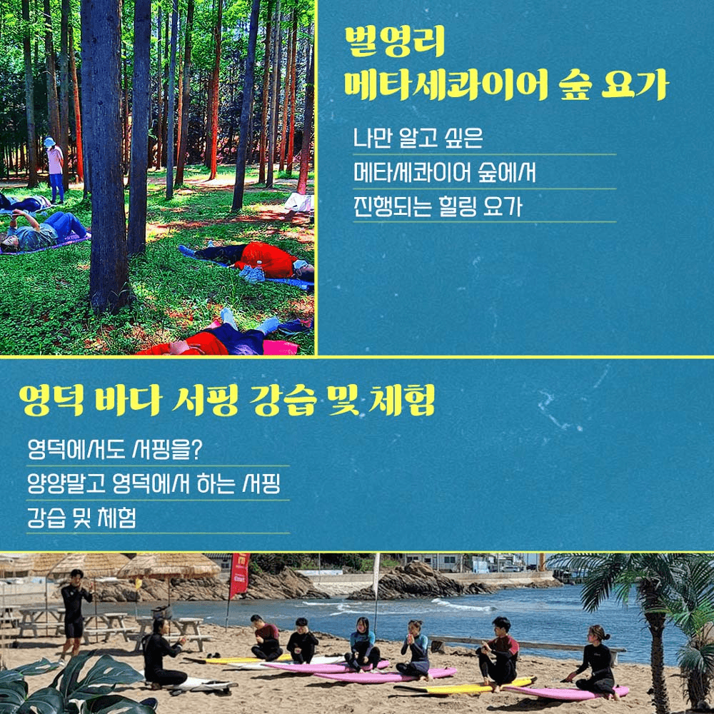 [2기 OPEN] 도시 탈출을 돕는 뚜벅이 브로커 2기, 영덕 살아보기