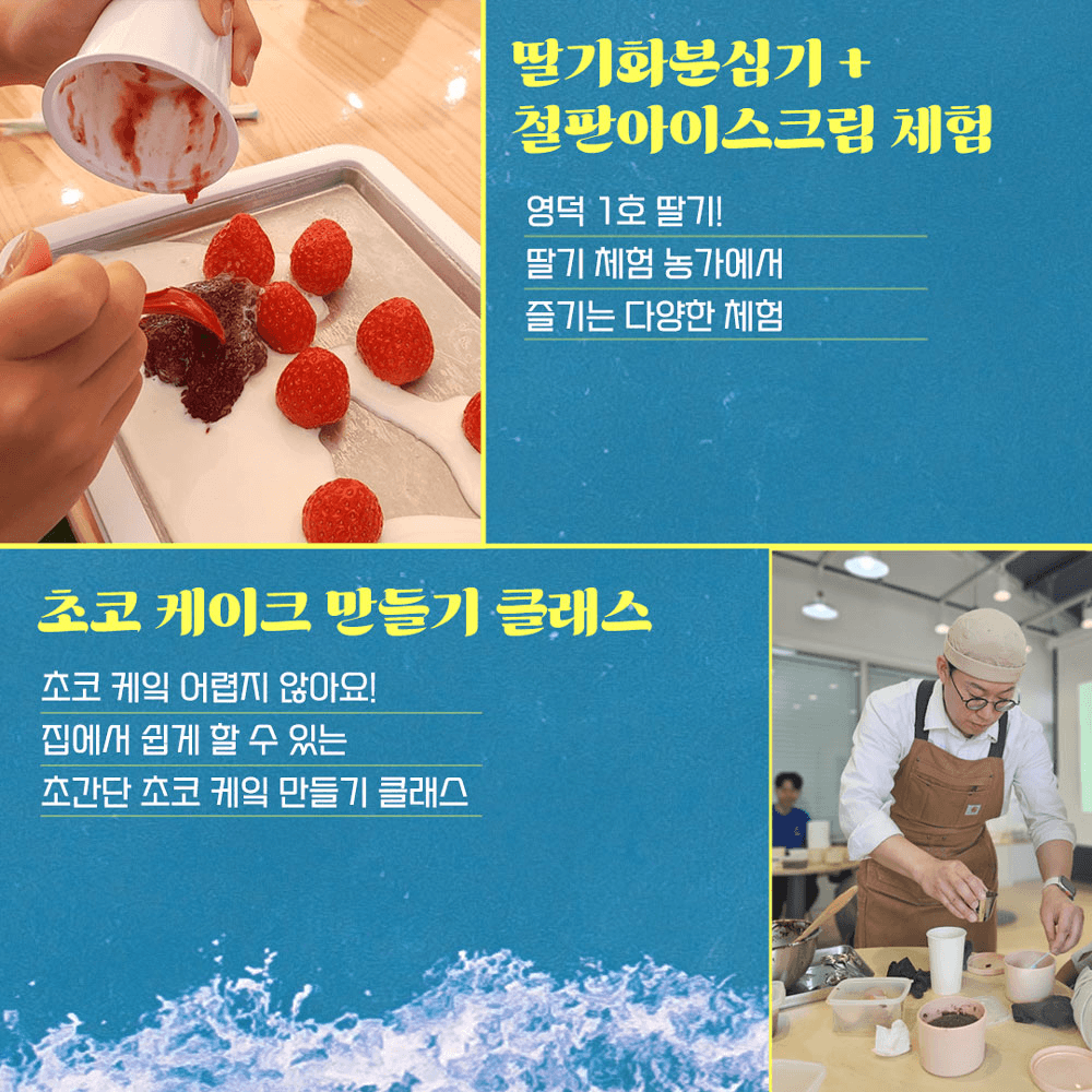 [2기 OPEN] 도시 탈출을 돕는 뚜벅이 브로커 2기, 영덕 살아보기