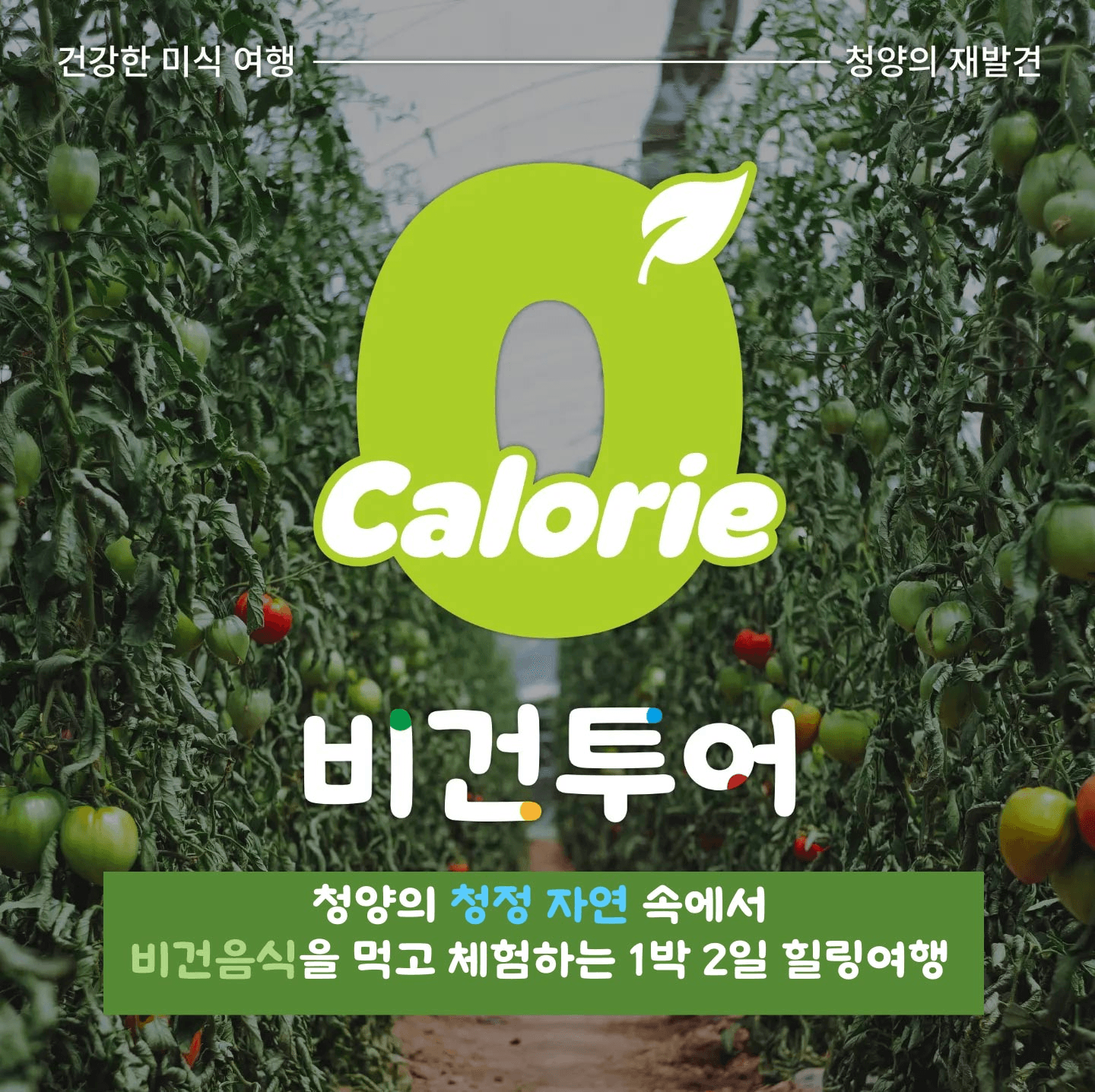 청양 비건 라이프 투어