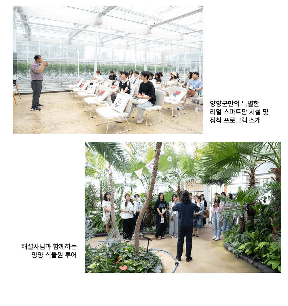 강원도 양양 일주일살기 - 바들바들 현남생활 3기