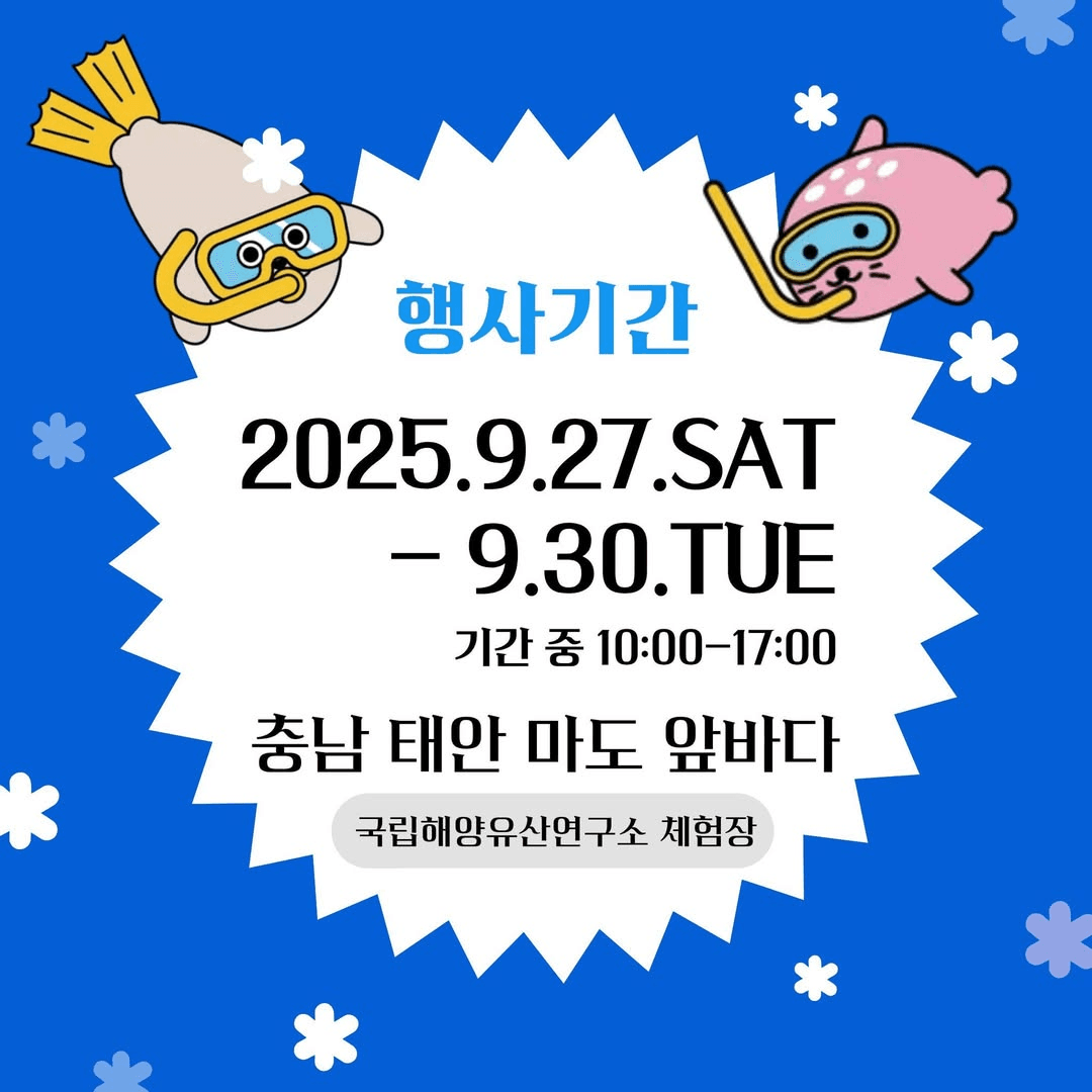 태안 고려난파선 수중발굴 캠프