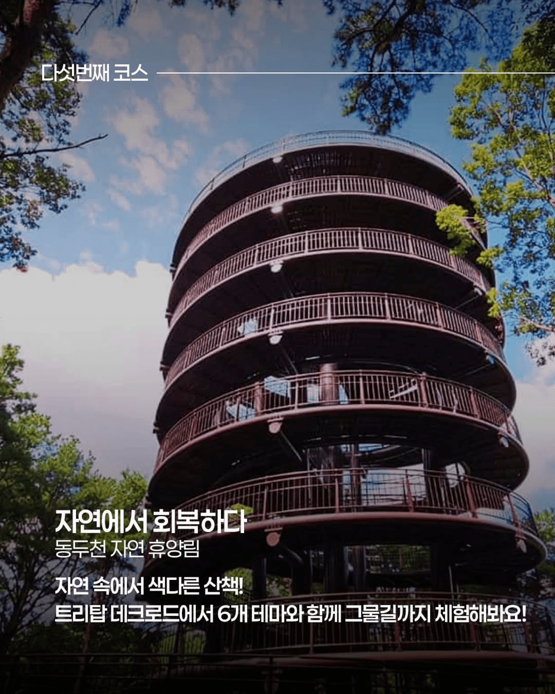 경기도로 끌려온 핀란드인의 코리안 숲투어 - 경기노포 팸투어