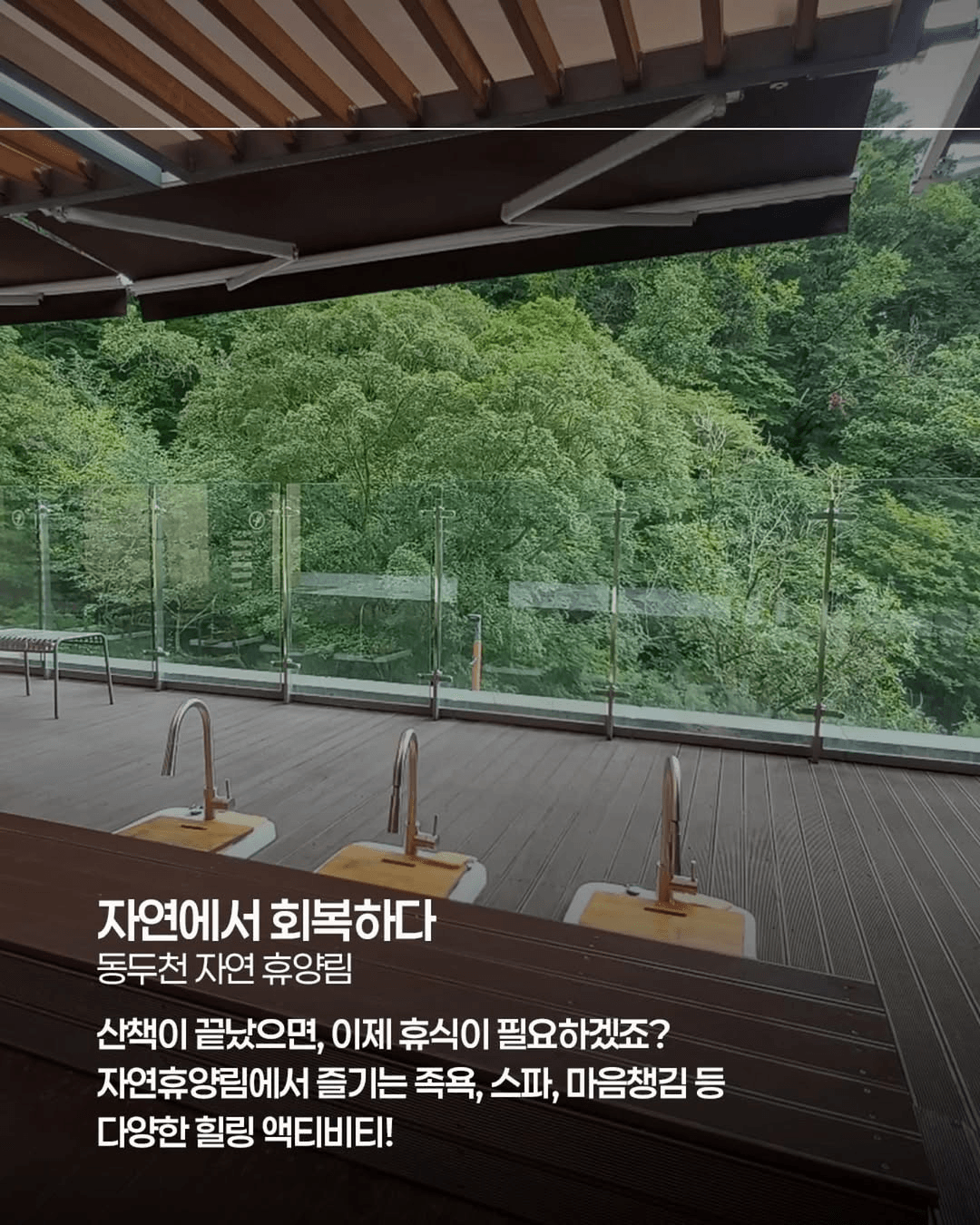 경기도로 끌려온 핀란드인의 코리안 숲투어 - 경기노포 팸투어