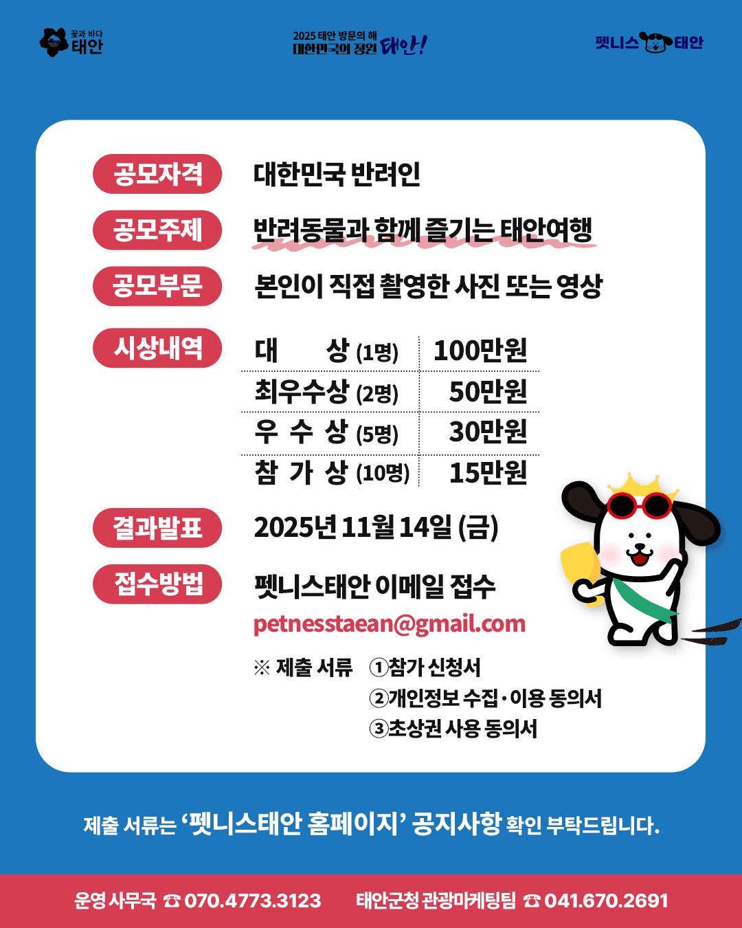 댕댕이랑 태안가는 달! 반려동물 동반 여행 콘텐츠 공모전