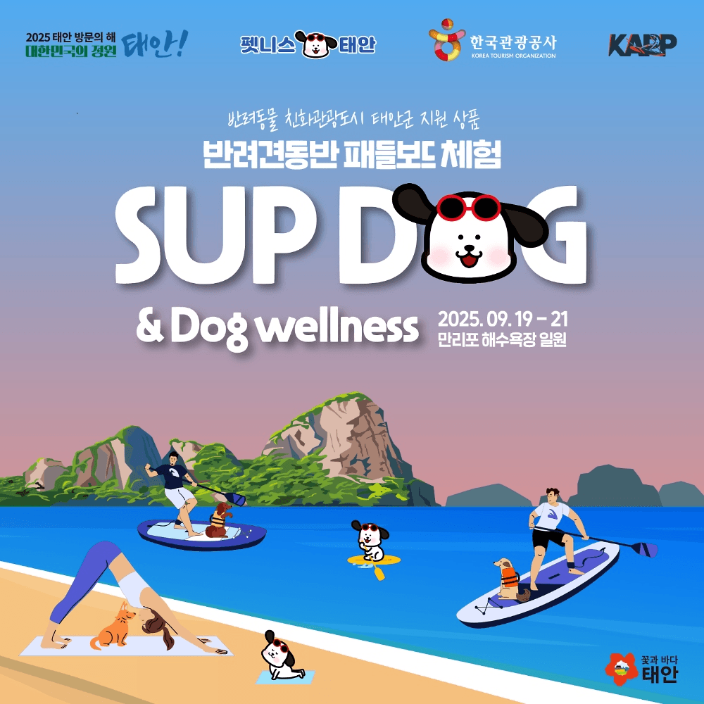 태안 반려견동반 패들보드, 반려견 웰니스 체험 (선착순)