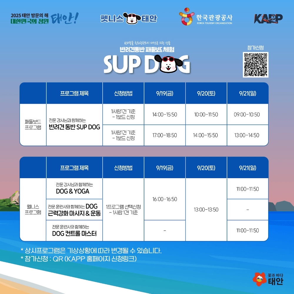 태안 반려견동반 패들보드, 반려견 웰니스 체험 (선착순)