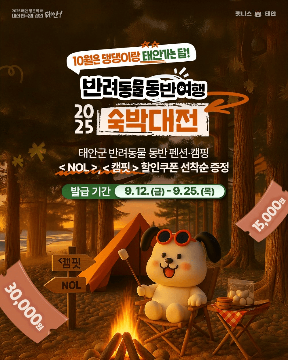 댕댕이랑 태안가는 달! 반려동물 동반여행 숙박대전 (선착순)