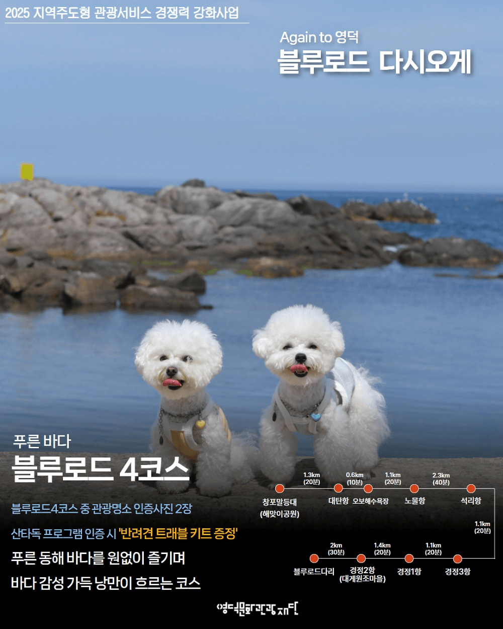 Again to 블루로드 다시오게 - 반려견, 러닝여행 (2회차)