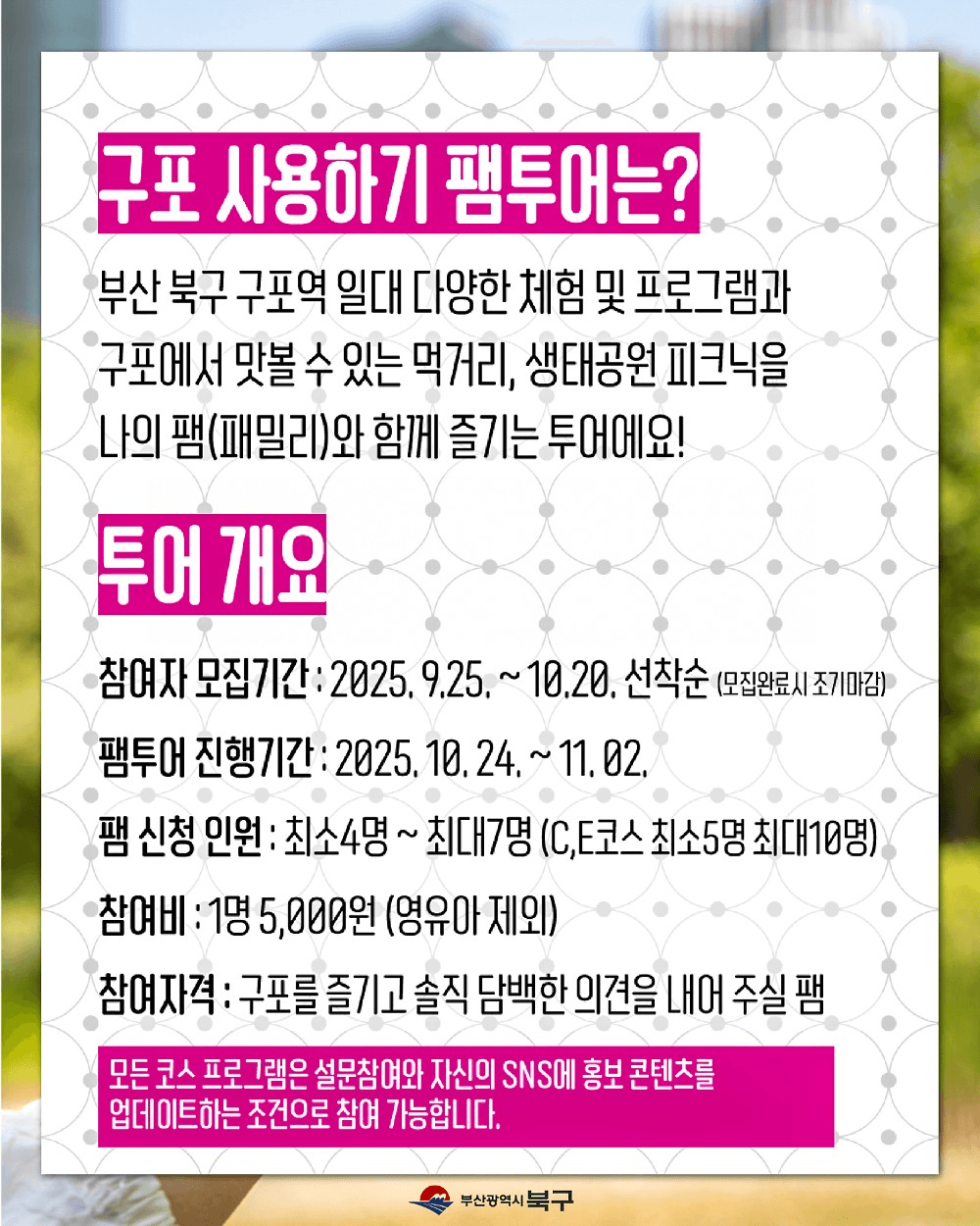 부산 구포나잇페스타 구포사용하기 팸투어 모집 (선착순)