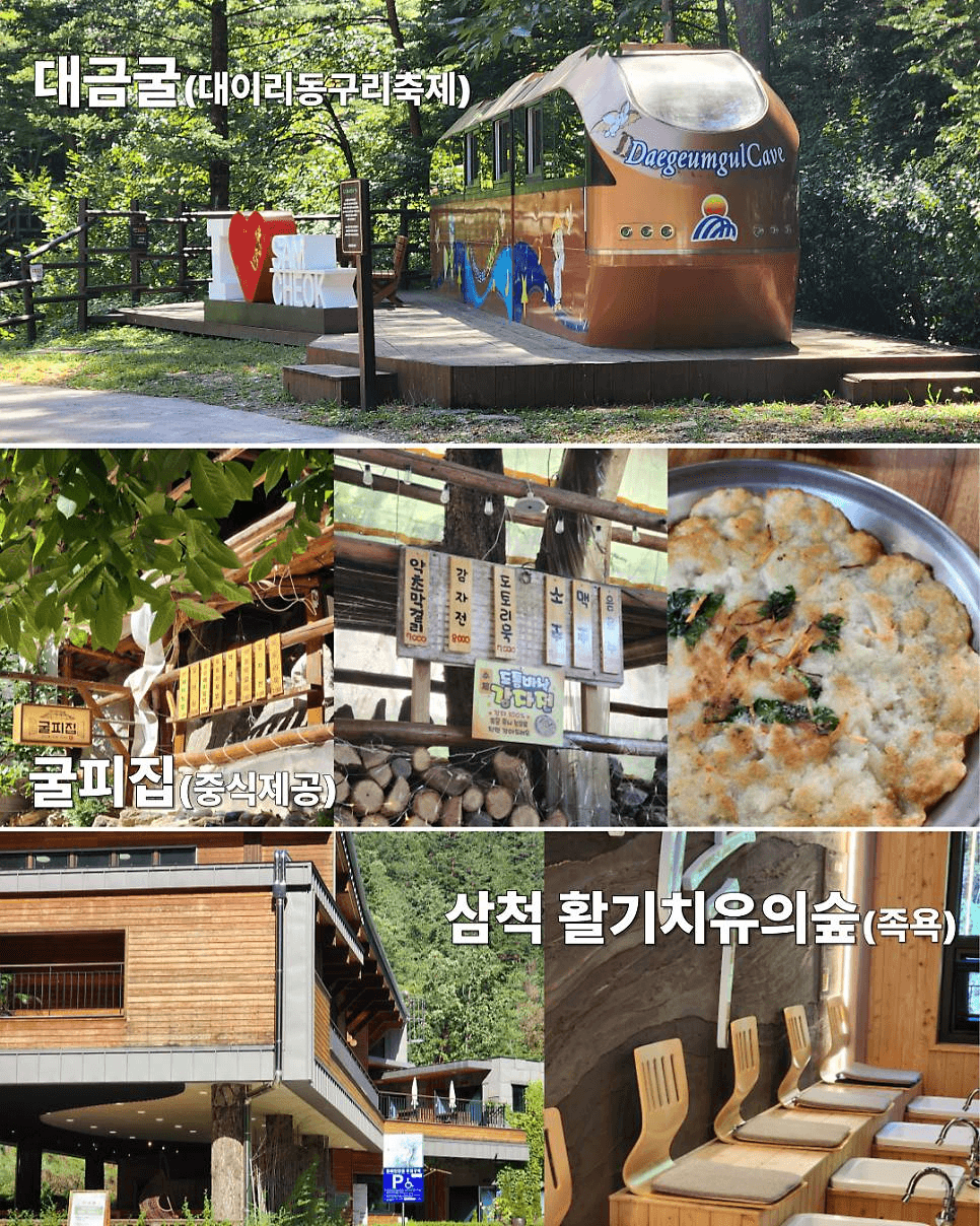 강원도 삼척 열차 체험단