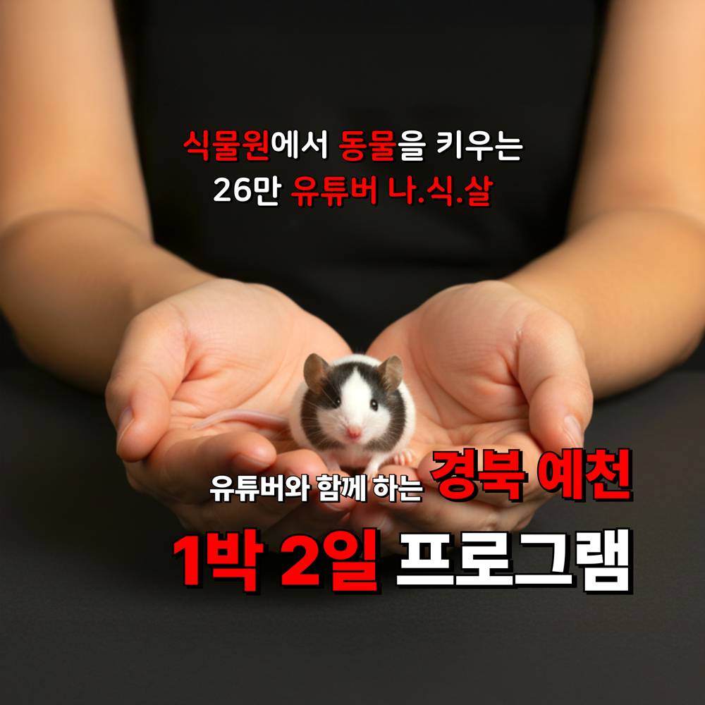 26만 유튜버 <나.식.살>과 함께하는 예천 투어-썸네일-0