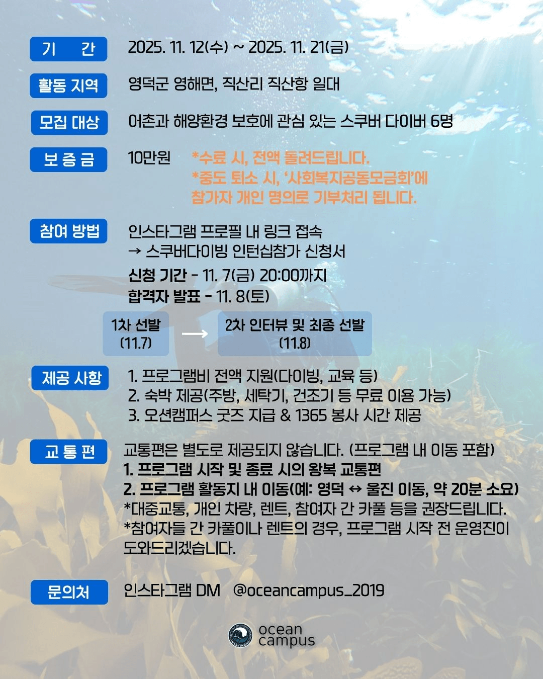 영덕 울진 스쿠버다이빙 인턴십 참가자 모집