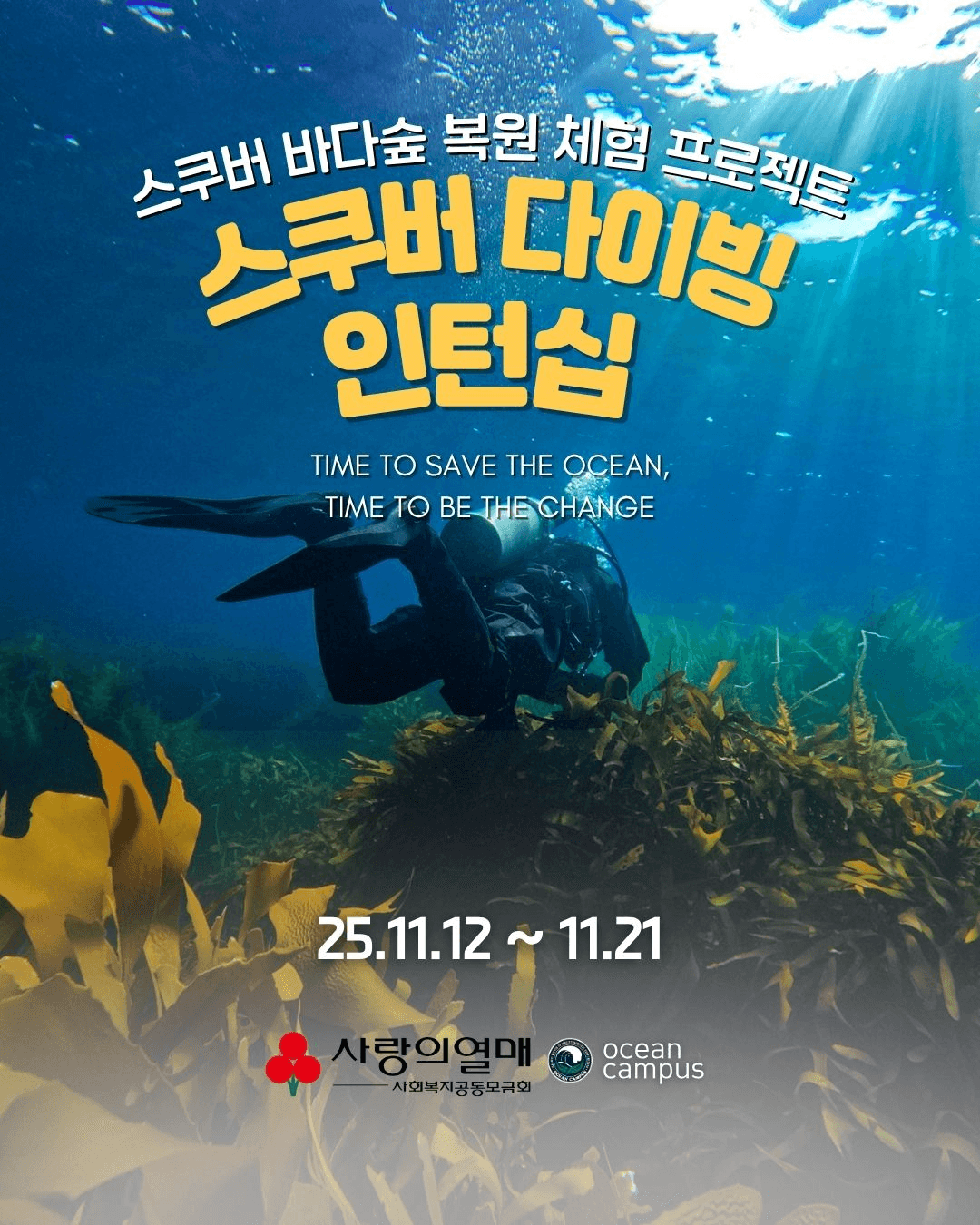 영덕 울진 스쿠버다이빙 인턴십 참가자 모집