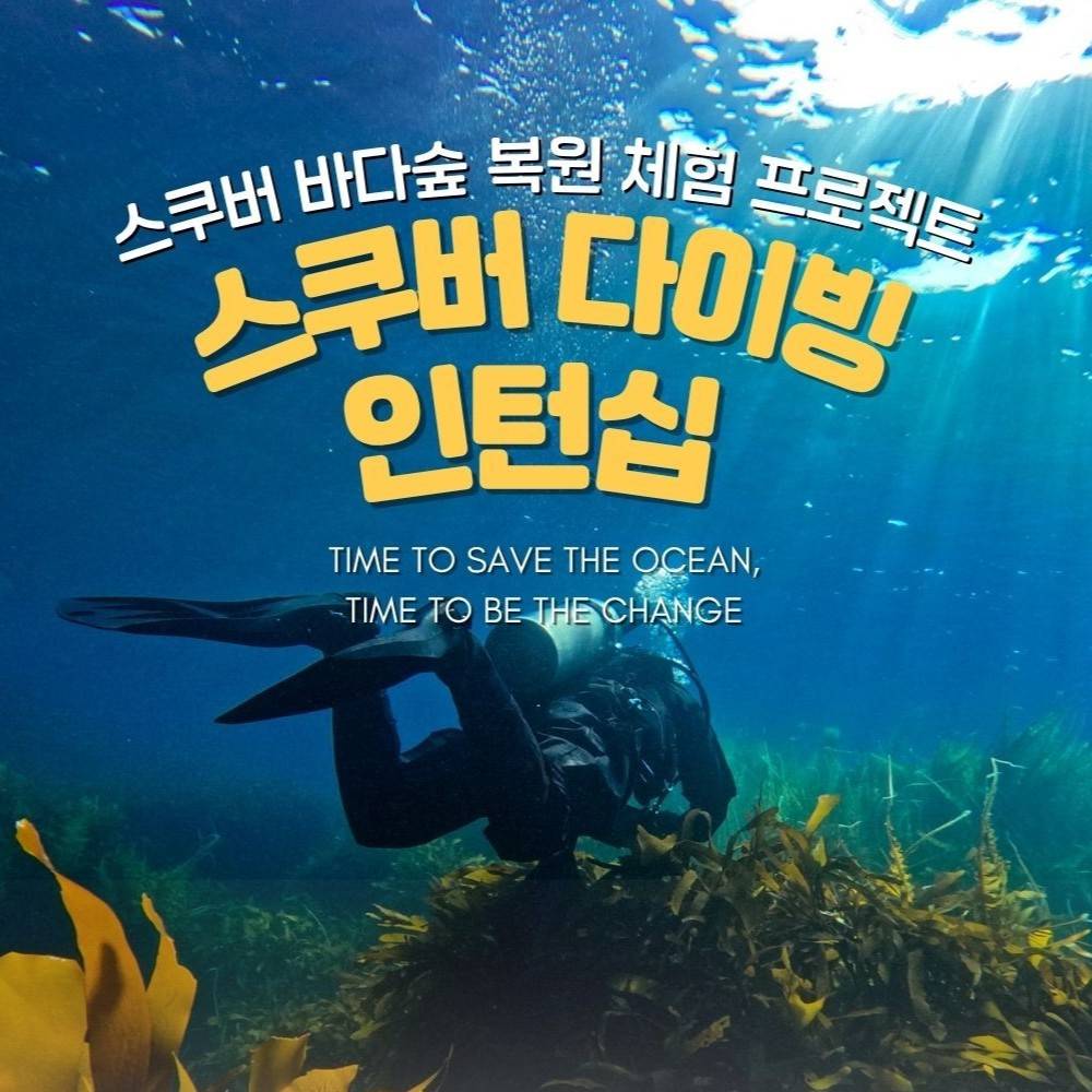 영덕 울진 스쿠버다이빙 인턴십 참가자 모집-썸네일-0