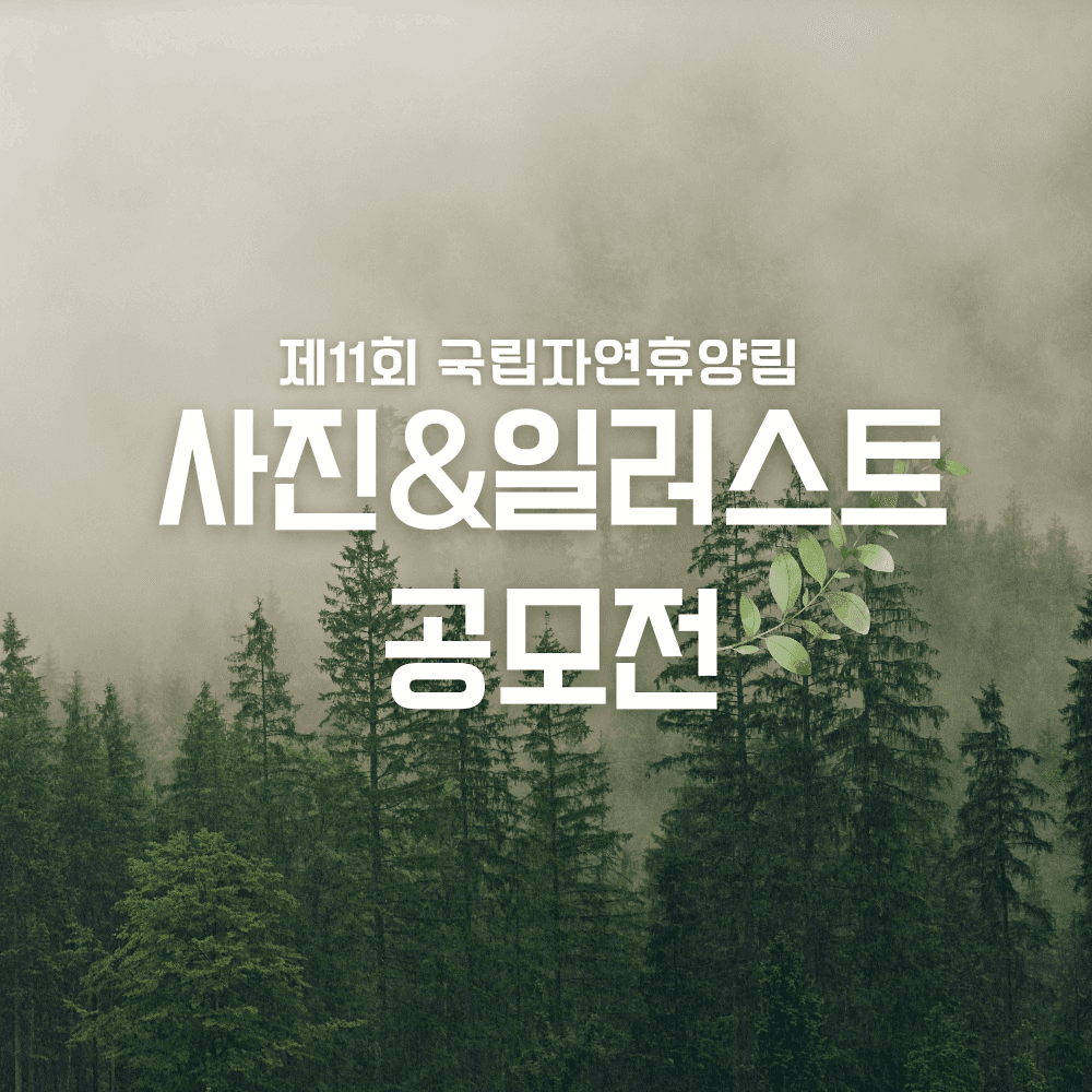 제11회 국립자연휴양림 사진&일러스트 공모전-썸네일-0