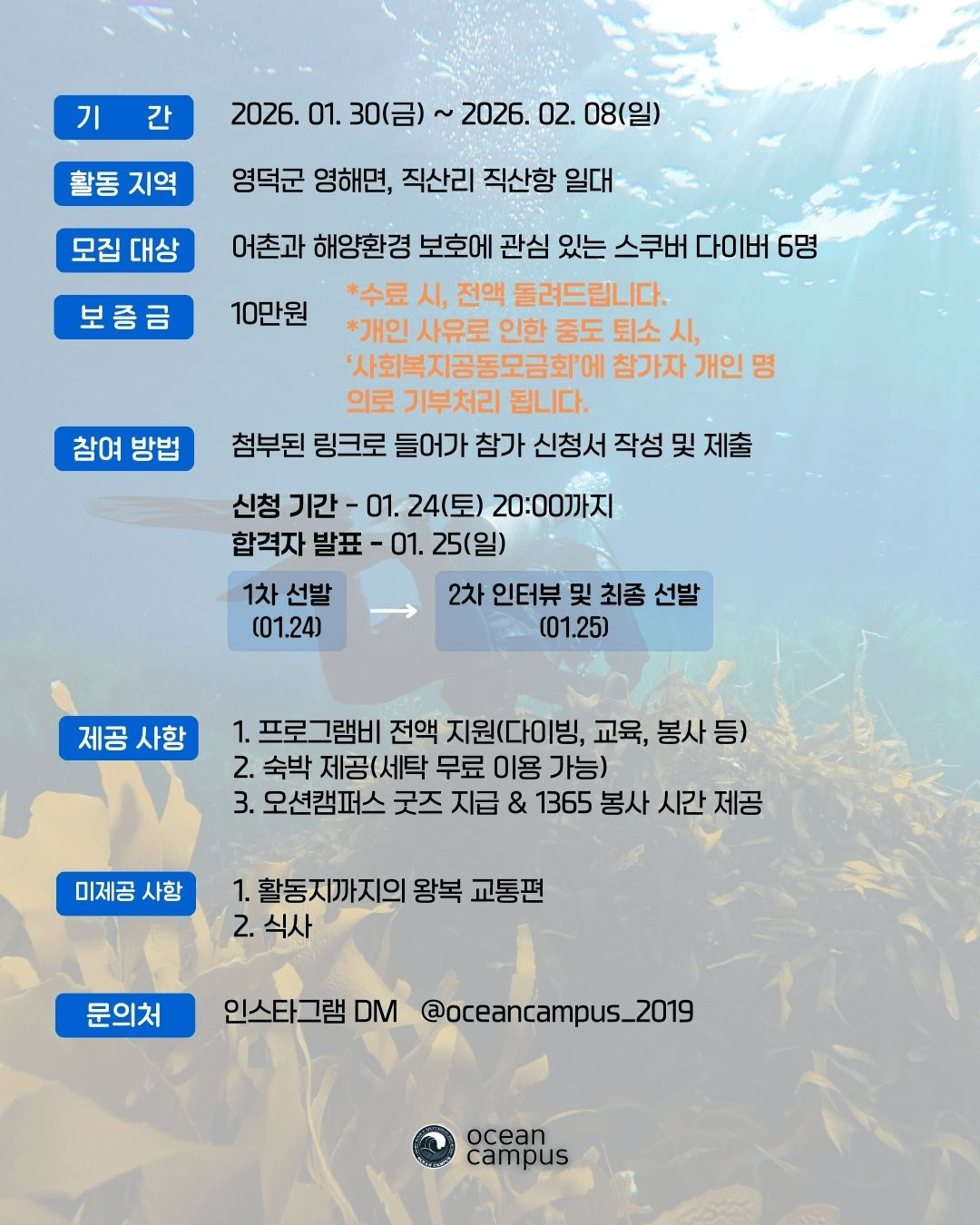 영덕 울진 스쿠버다이빙 인턴십 참가자 모집 | 영덕 일주일살기