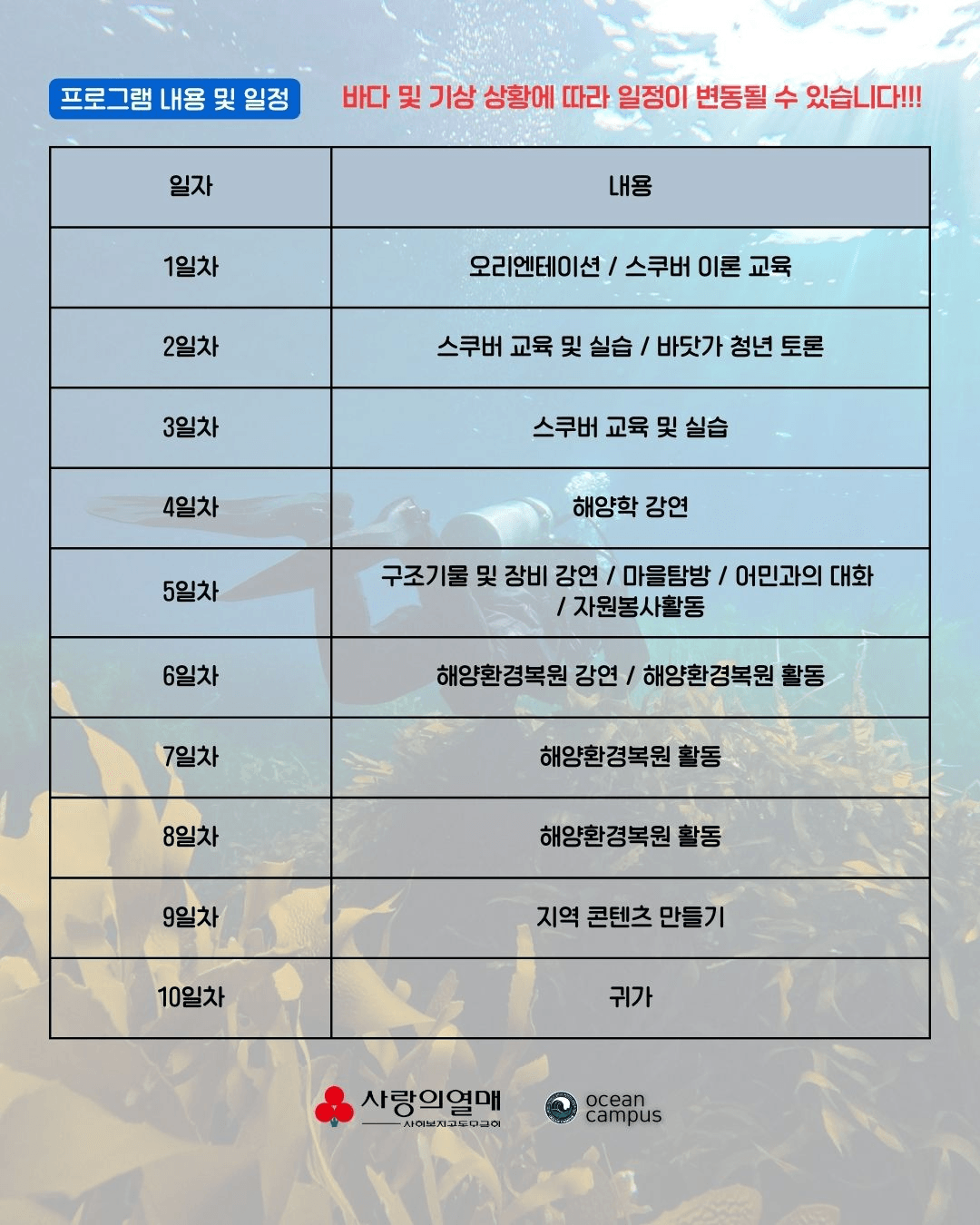 영덕 울진 스쿠버다이빙 인턴십 참가자 모집 | 영덕 일주일살기