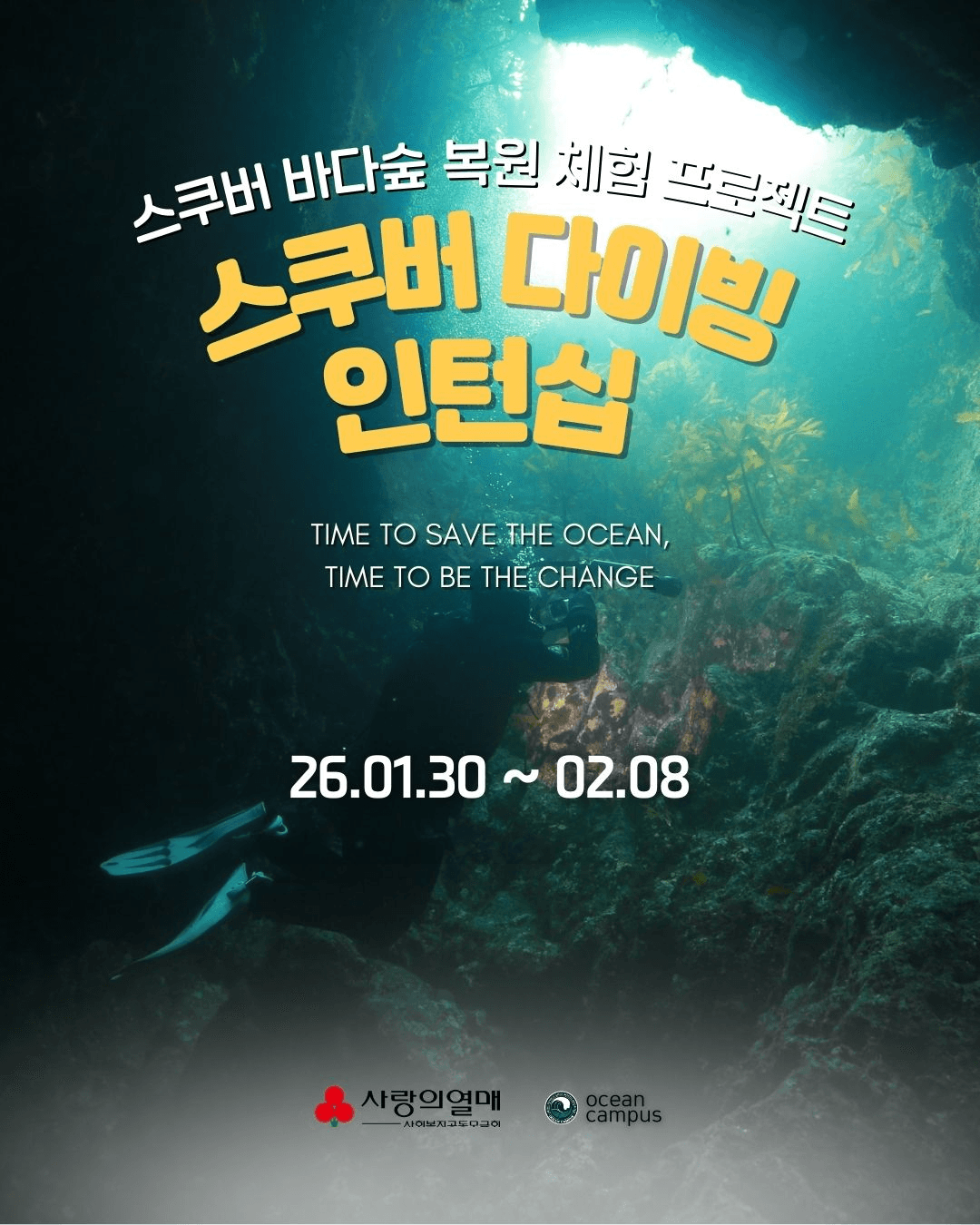 영덕 울진 스쿠버다이빙 인턴십 참가자 모집 | 영덕 일주일살기