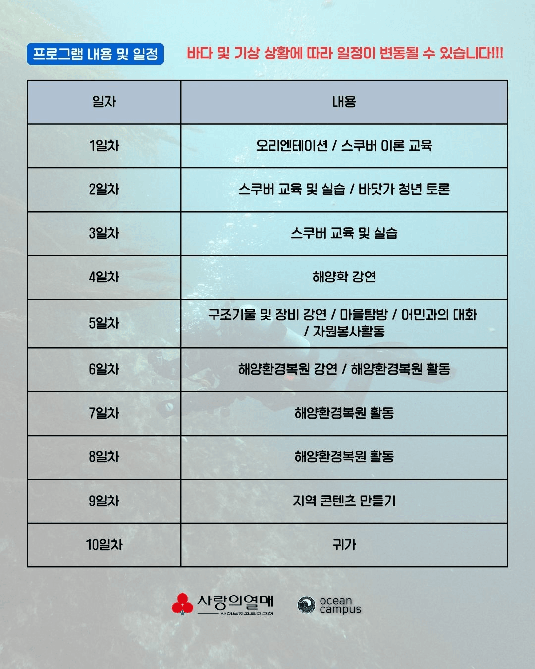 영덕 울진 스쿠버다이빙 인턴십 참가자 모집