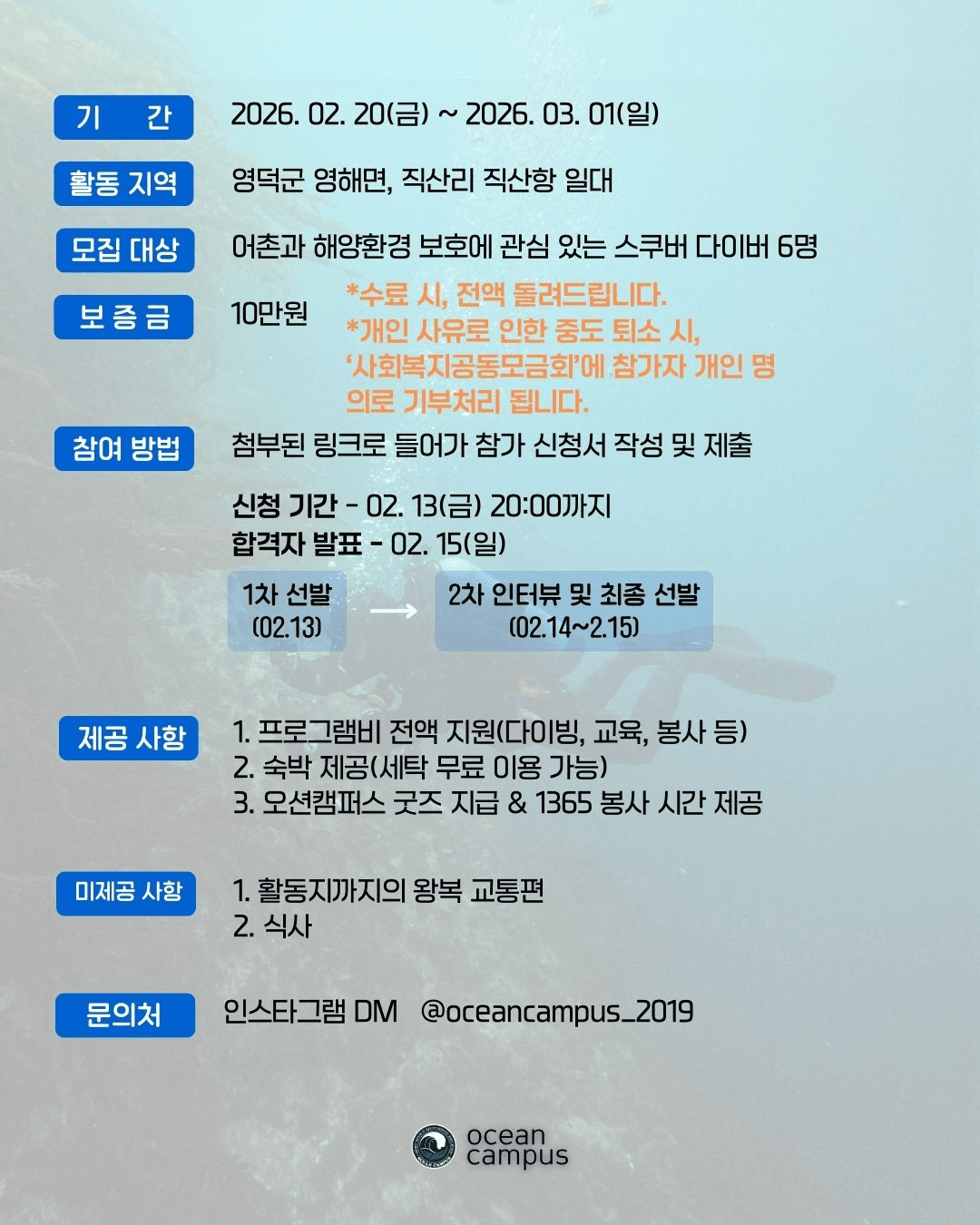 영덕 울진 스쿠버다이빙 인턴십 참가자 모집