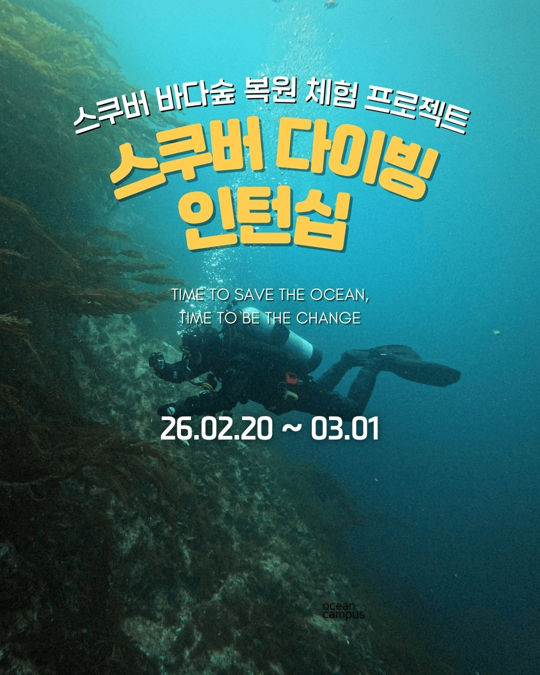 영덕 울진 스쿠버다이빙 인턴십 참가자 모집