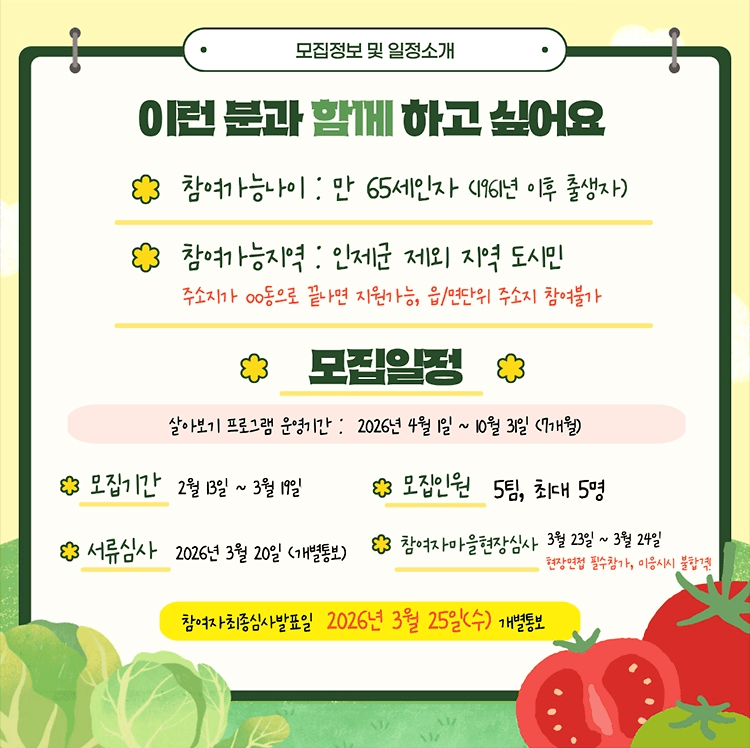 인제 7개월 살아보기 | 토마토 논스톱 재배 처음부터 판매까지