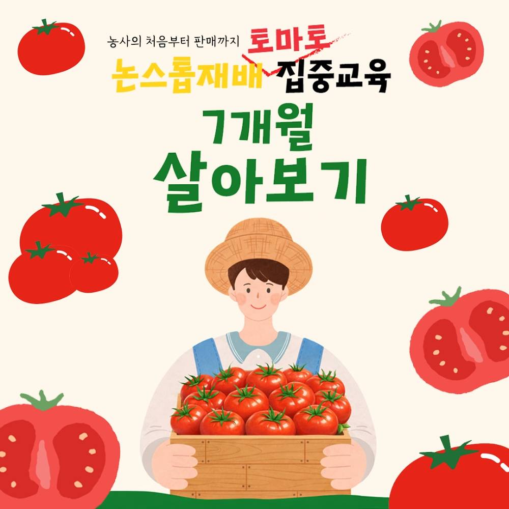 인제 7개월 살아보기 | 토마토 논스톱 재배 처음부터 판매까지-썸네일-0
