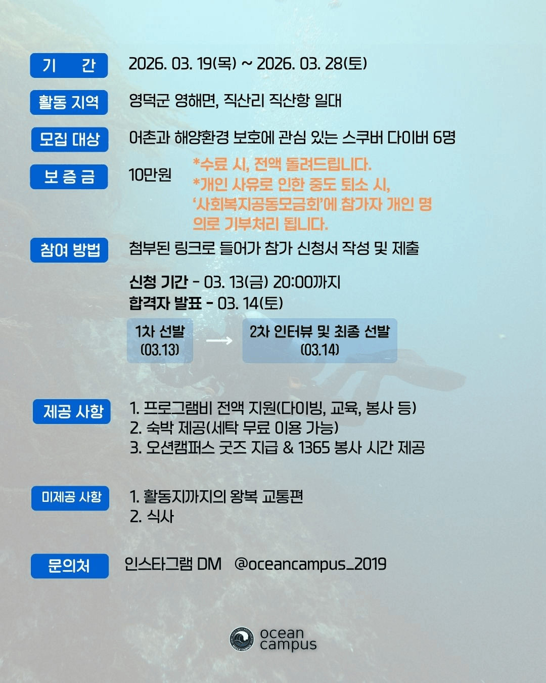 영덕 울진 스쿠버다이빙 인턴십 참가자 모집 | 영덕 일주일살기