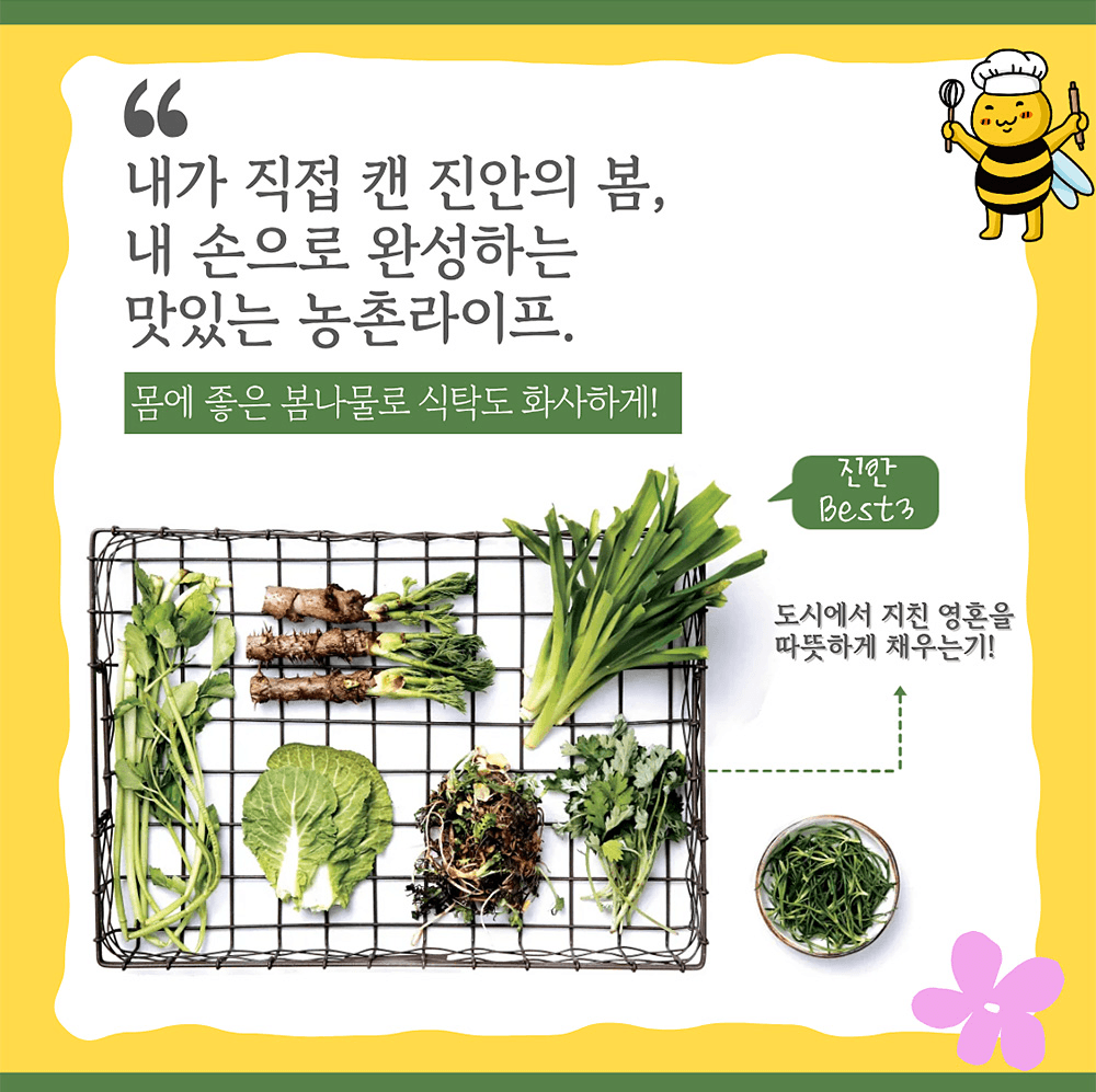 2026 진안 청년 캠프 '맛보니 진안'