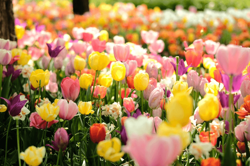 아산 도고 2박3일 취향살이 편지편 3기 <세상에 남기는 편지>