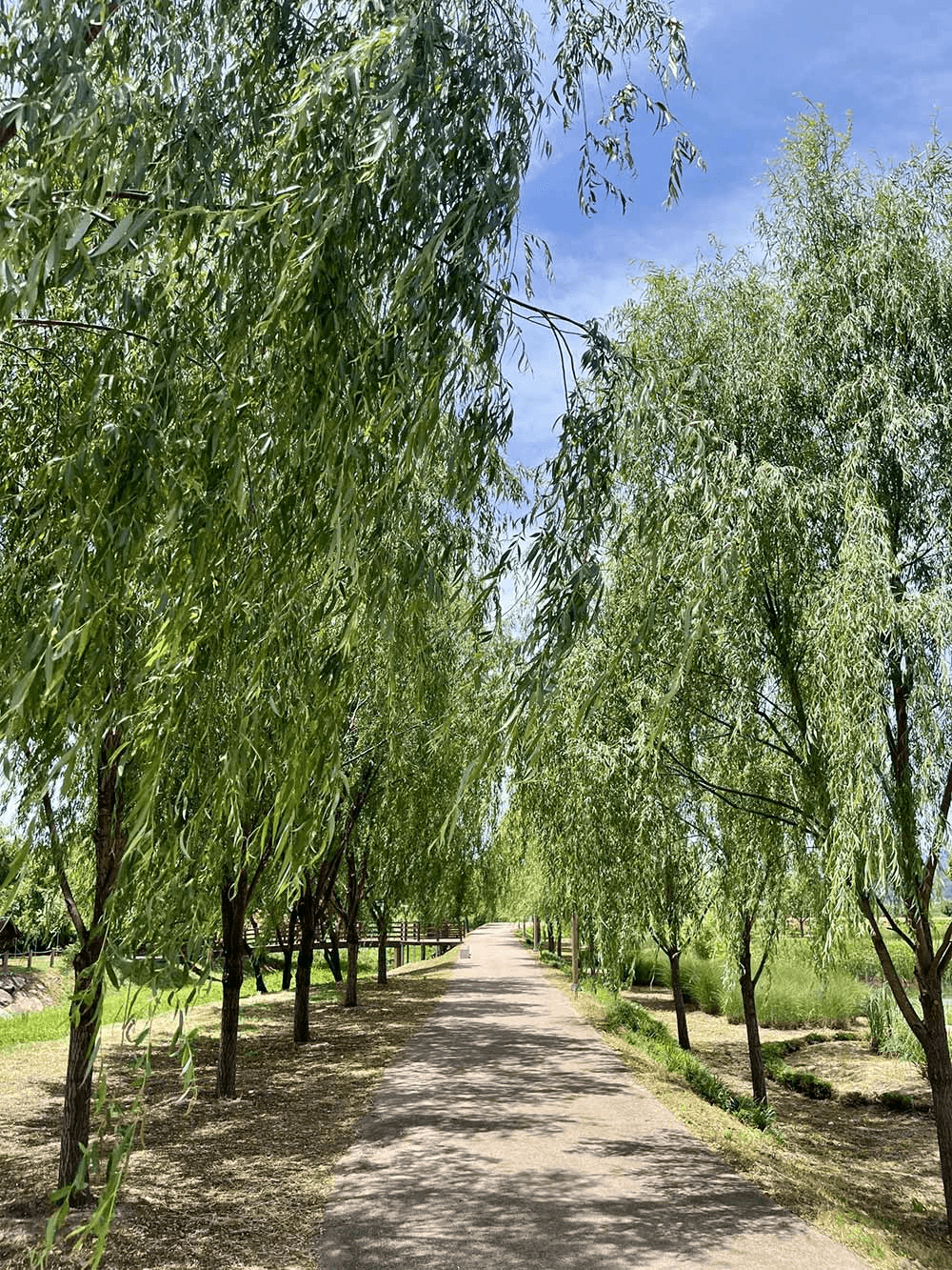 밀양, 단 하루의 체류 <6월 연결-트립>