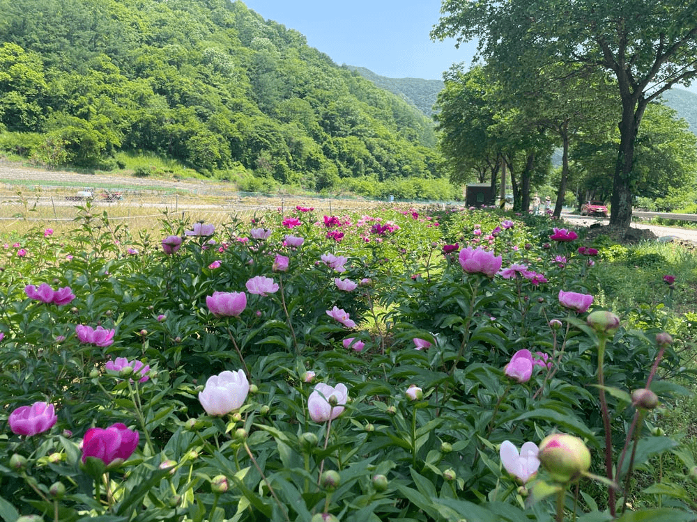 프로듀스X덕산누리마을, 내 손으로 만들어가는 농촌생활 (농촌살아보기)